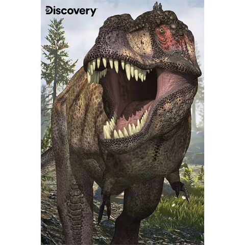 Neco Prm-10248 Prime 3D Discovery Allosaurus & Tyrannosaurus Rex-200 Parça İkili Puzzle